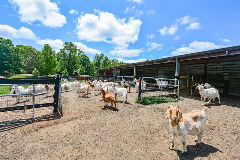 Image for property 114 Addington Lane, Waleska, GA 30183