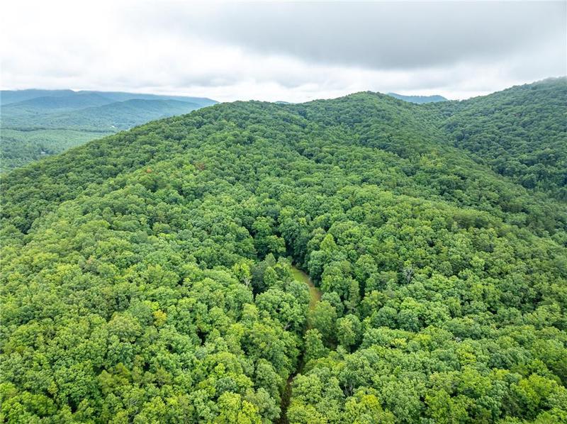 Image for property 467 Gilliam Trail, Mineral Bluff, GA 30559