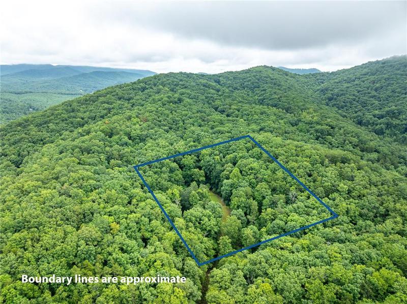 Image for property 467 Gilliam Trail, Mineral Bluff, GA 30559