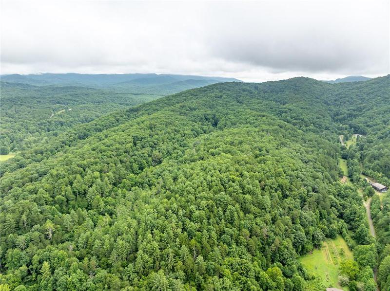 Image for property 467 Gilliam Trail, Mineral Bluff, GA 30559