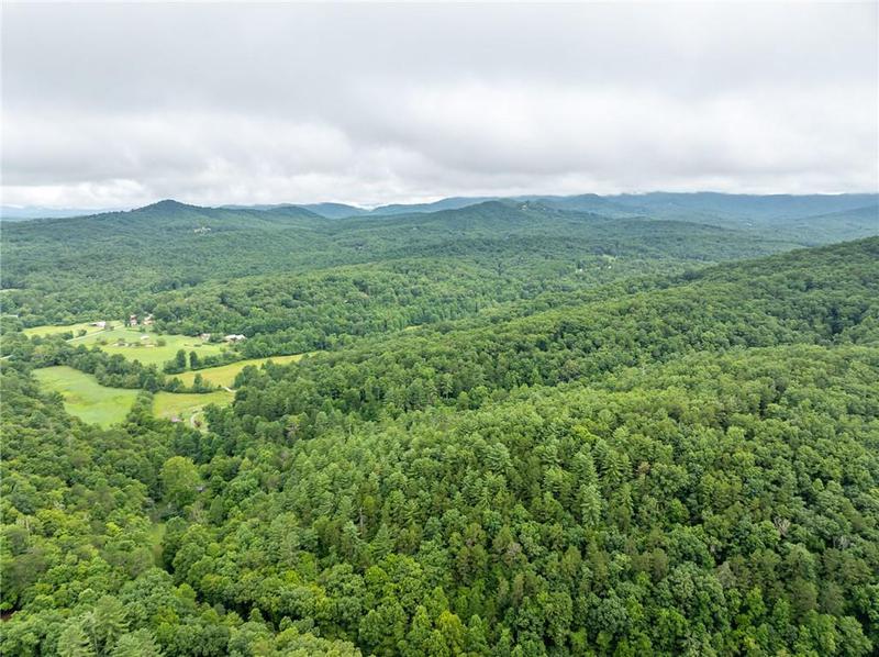 Image for property 467 Gilliam Trail, Mineral Bluff, GA 30559