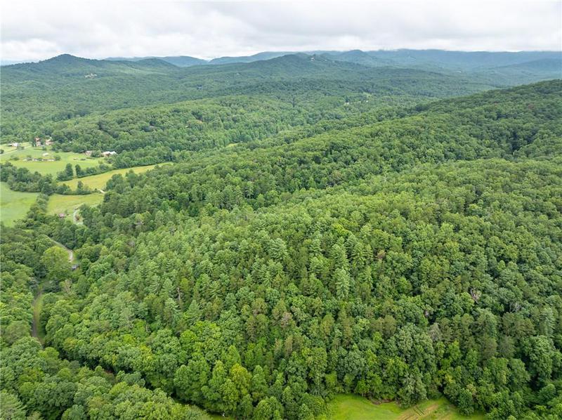 Image for property 467 Gilliam Trail, Mineral Bluff, GA 30559