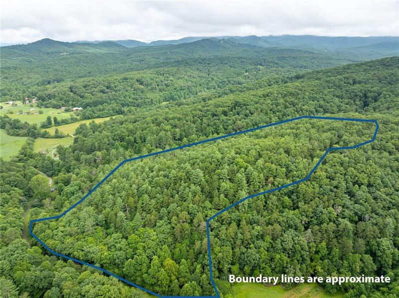 Image for property 467 Gilliam Trail, Mineral Bluff, GA 30559