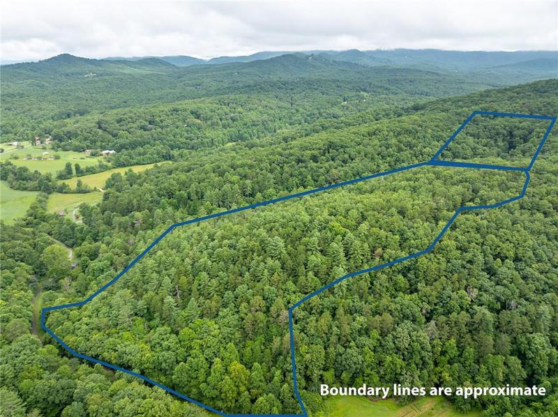 Image for property 467 Gilliam Trail, Mineral Bluff, GA 30559