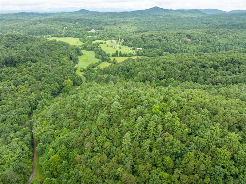Image for property 467 Gilliam Trail, Mineral Bluff, GA 30559