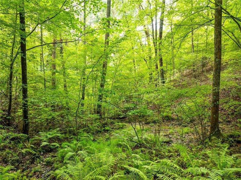Image for property 467 Gilliam Trail, Mineral Bluff, GA 30559
