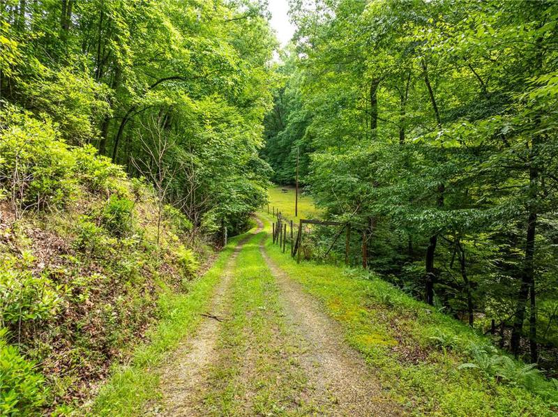 Image for property 467 Gilliam Trail, Mineral Bluff, GA 30559