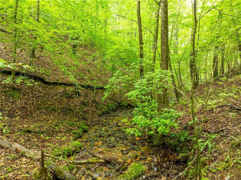 Image for property 467 Gilliam Trail, Mineral Bluff, GA 30559