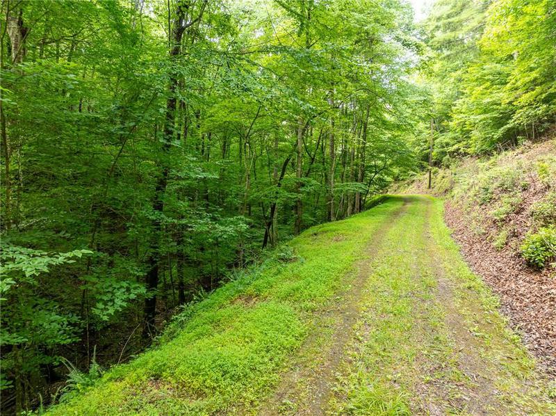 Image for property 467 Gilliam Trail, Mineral Bluff, GA 30559