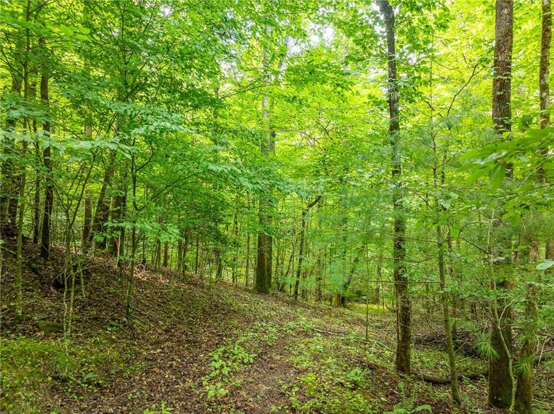 Image for property 467 Gilliam Trail, Mineral Bluff, GA 30559
