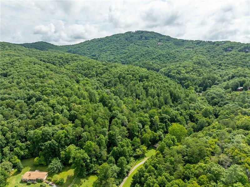 Image for property 467 Gilliam Trail, Mineral Bluff, GA 30559