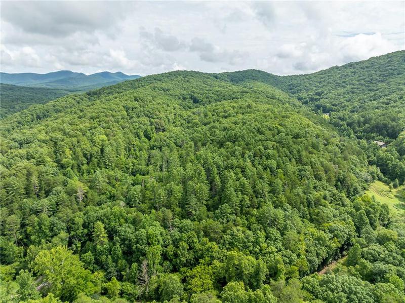Image for property 467 Gilliam Trail, Mineral Bluff, GA 30559