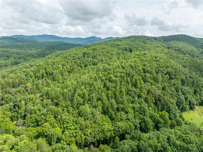 Image for property 467 Gilliam Trail, Mineral Bluff, GA 30559