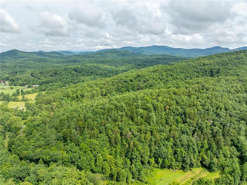 Image for property 467 Gilliam Trail, Mineral Bluff, GA 30559