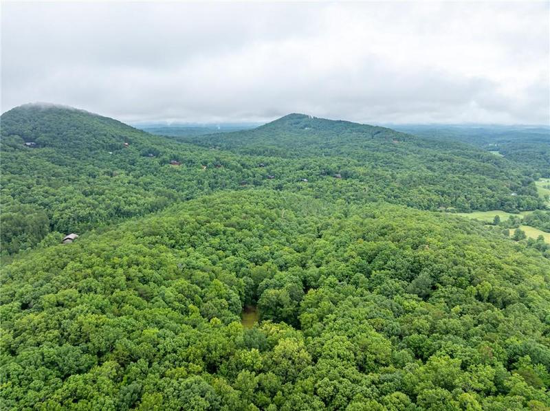 Image for property 467 Gilliam Trail, Mineral Bluff, GA 30559