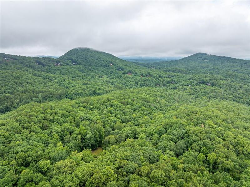 Image for property 467 Gilliam Trail, Mineral Bluff, GA 30559