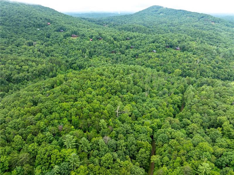 Image for property 467 Gilliam Trail, Mineral Bluff, GA 30559