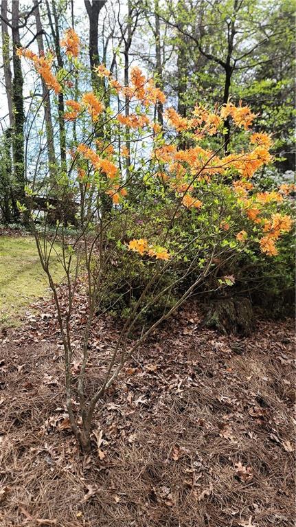 Image for property 5775 Lakeshore Drive, Buford, GA 30518