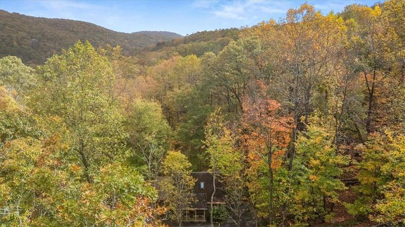 Image for property 62 Shaggy Maple Lane, Big Canoe, GA 30143