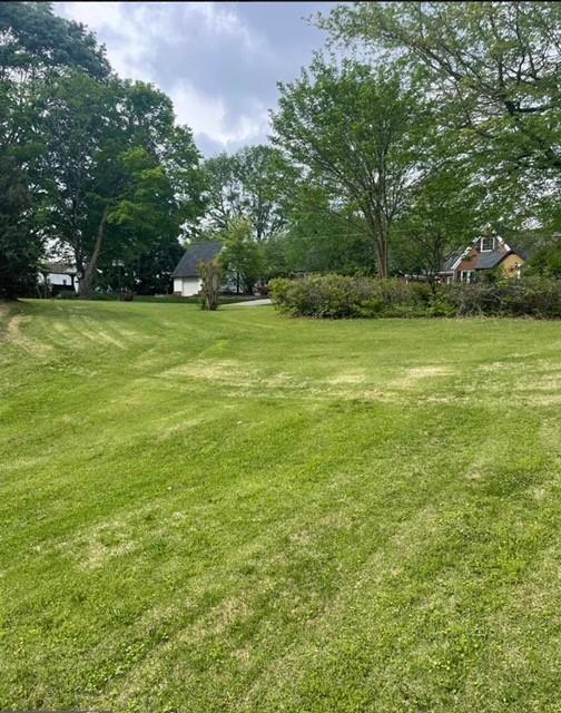 Image for property 225 Alewine Avenue, Tallapoosa, GA 30176