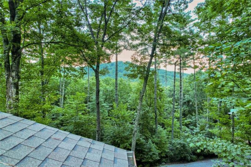 Image for property 131 Forest Branch Trail, Cherry Log, GA 30522