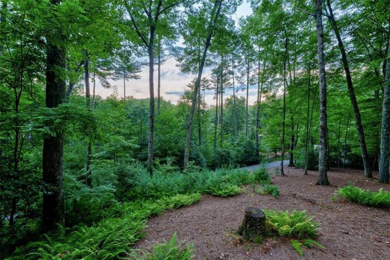 Image for property 131 Forest Branch Trail, Cherry Log, GA 30522