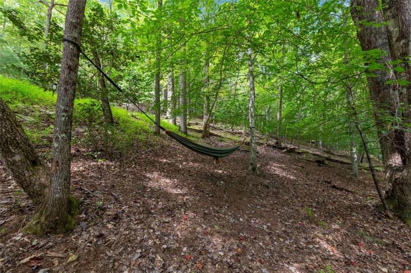 Image for property 421 Weeks Creek Road, Blue Ridge, GA 30513