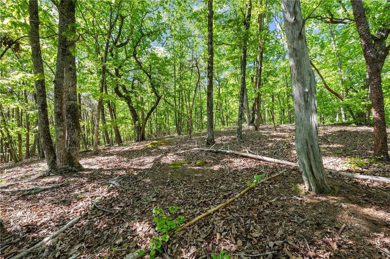 Image for property 3280 Chestatee Road, Gainesville, GA 30506