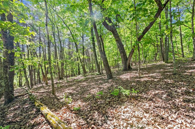 Image for property 3280 Chestatee Road, Gainesville, GA 30506