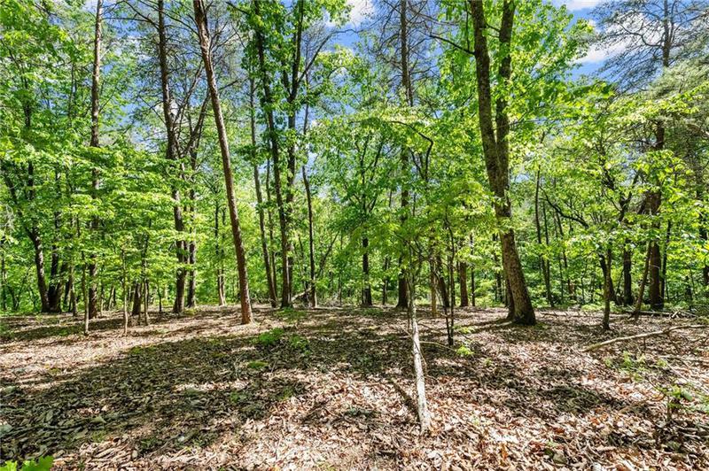 Image for property 3280 Chestatee Road, Gainesville, GA 30506