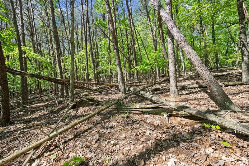 Image for property 3280 Chestatee Road, Gainesville, GA 30506