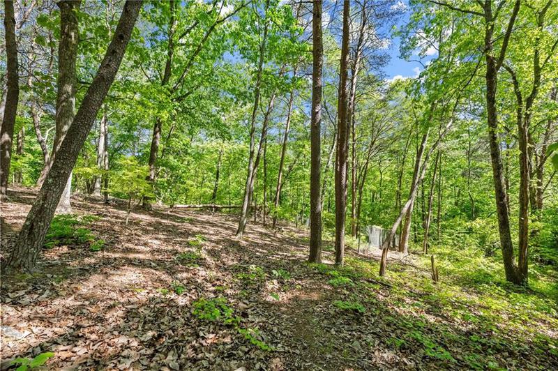 Image for property 3280 Chestatee Road, Gainesville, GA 30506