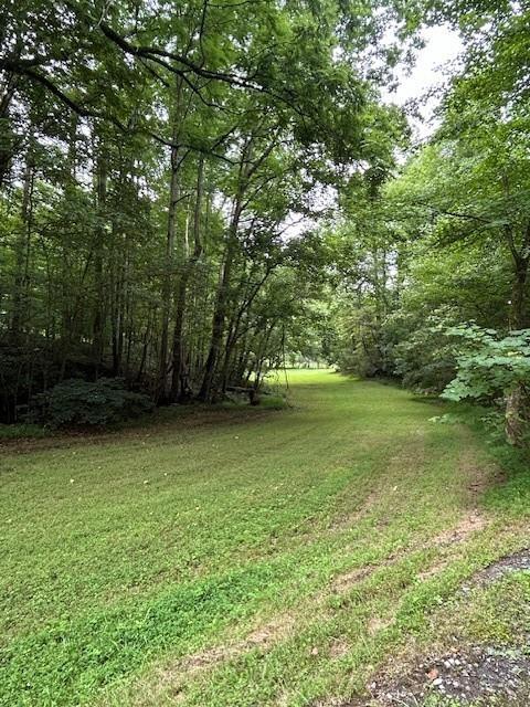 Image for property 426 Sulphur Springs Road, Fairmount, GA 30139