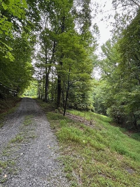 Image for property 426 Sulphur Springs Road, Fairmount, GA 30139