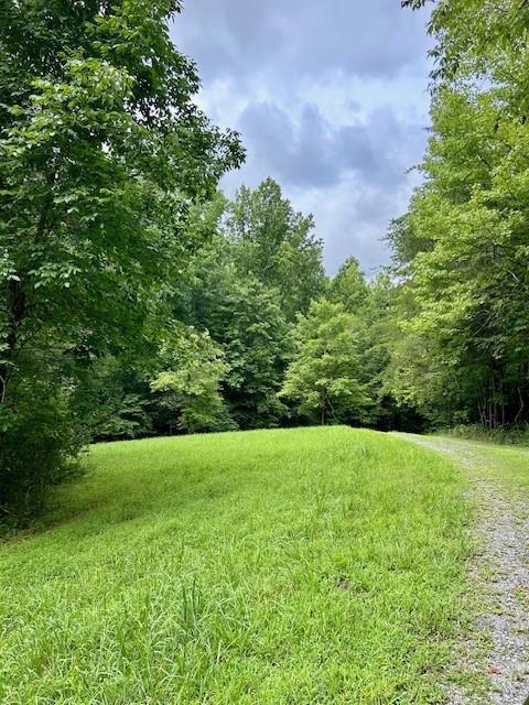 Image for property 426 Sulphur Springs Road, Fairmount, GA 30139