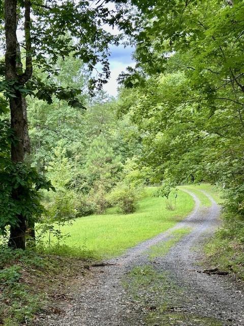 Image for property 426 Sulphur Springs Road, Fairmount, GA 30139