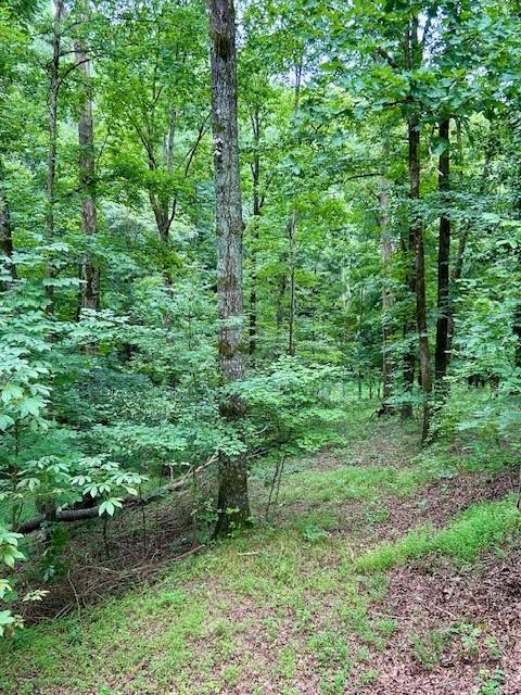 Image for property 426 Sulphur Springs Road, Fairmount, GA 30139