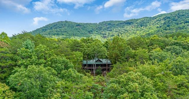 Image for property 85 Ridgeview Estates Road, Blue Ridge, GA 30513