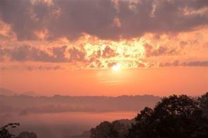 Image for property 85 SUMMIT CANYON Road H102, Dahlonega, GA 30533