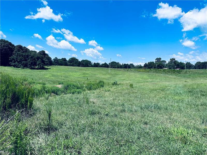 Image for property 4308 Athens Road, Carnesville, GA 30521