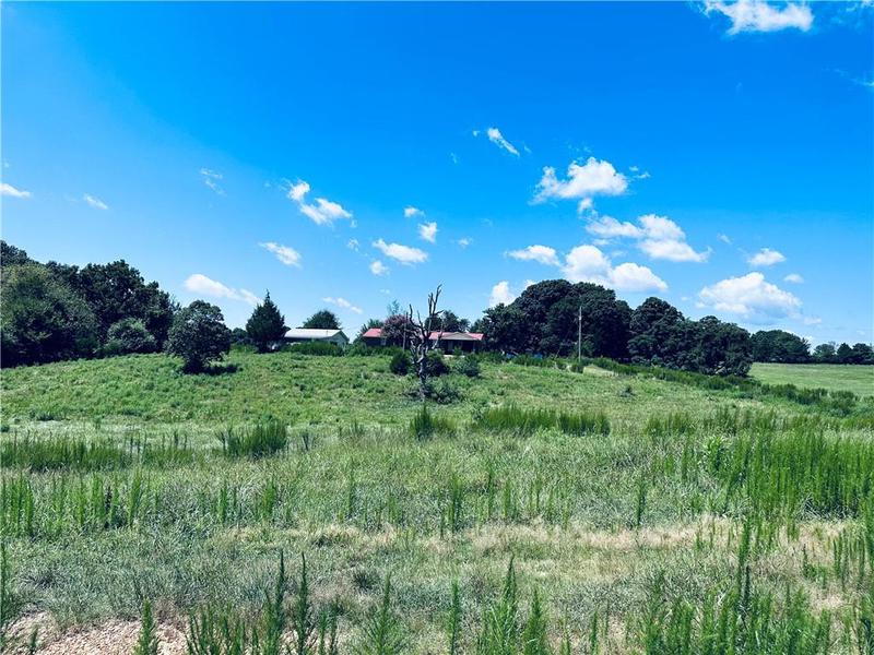 Image for property 4308 Athens Road, Carnesville, GA 30521