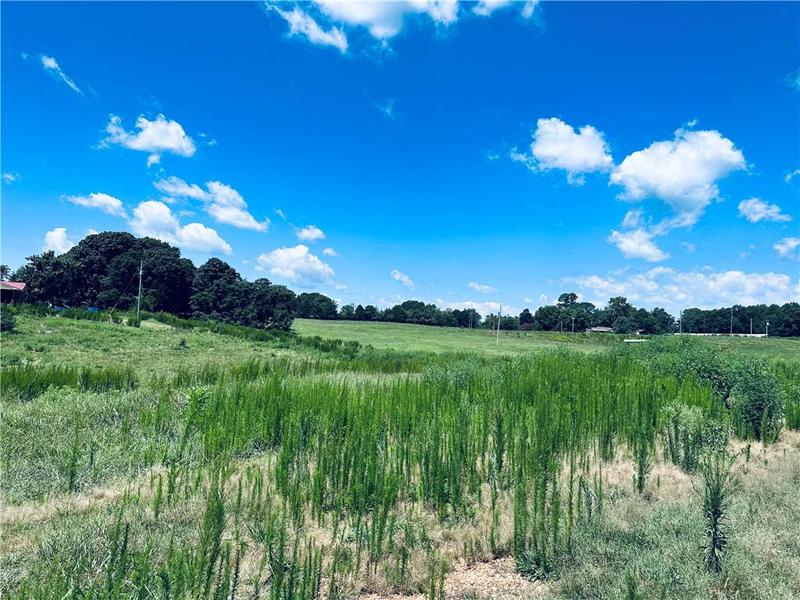 Image for property 4308 Athens Road, Carnesville, GA 30521