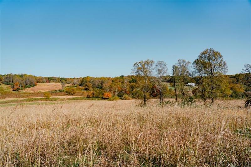 Image for property 1955 Alec Mountain Road, Clarkesville, GA 30523