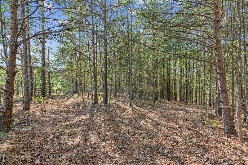 Image for property 974 Cowart Mountain Road, Jasper, GA 30143