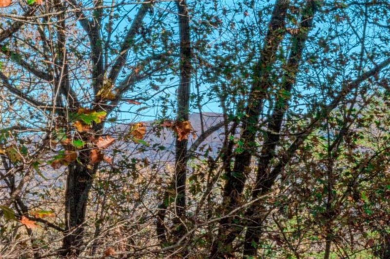 Image for property 32 Muscogee Drive, Ellijay, GA 30540