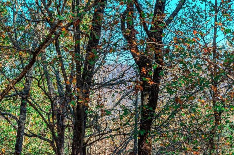 Image for property 32 Muscogee Drive, Ellijay, GA 30540