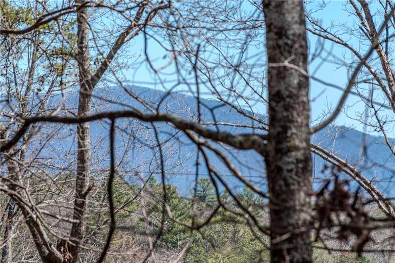 Image for property 32 Muscogee Drive, Ellijay, GA 30540
