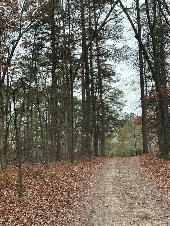 Image for property 359 Cornish Mtn Road, Oxford, GA 30054
