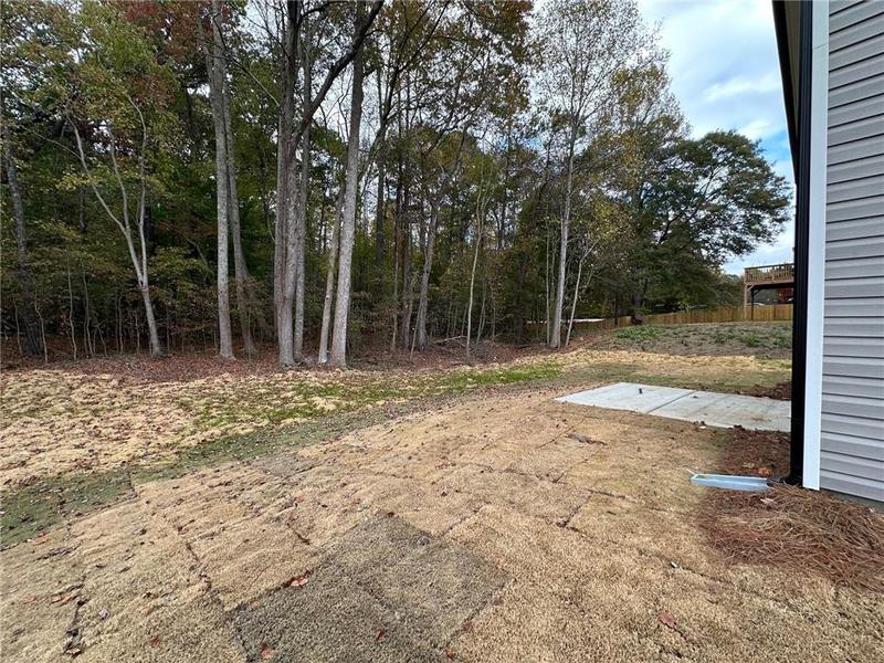 Image for property 5233 Rosetrace Terrace, Powder Springs, GA 30127