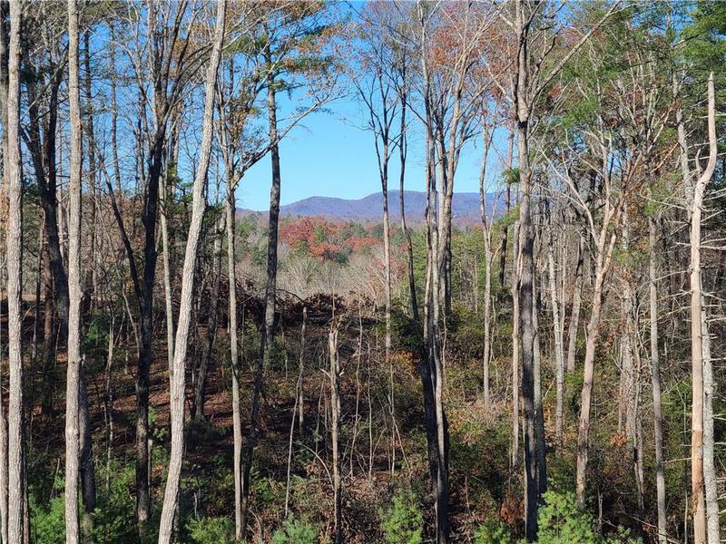 Image for property 1713 Old Northcutt Road, Ellijay, GA 30540
